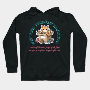 Box King, Flop Critic, Laughter Guru, Sock Ninja. Meet Your Purr-fect Motivator. Hoodie